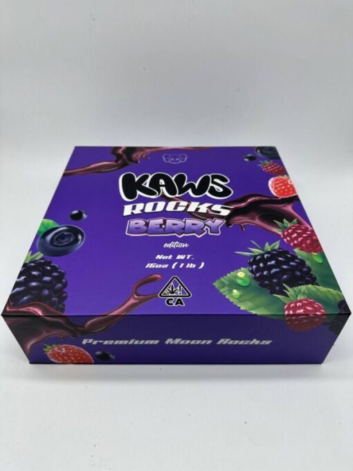 Kaws Rocks BERRY Edition LB Box